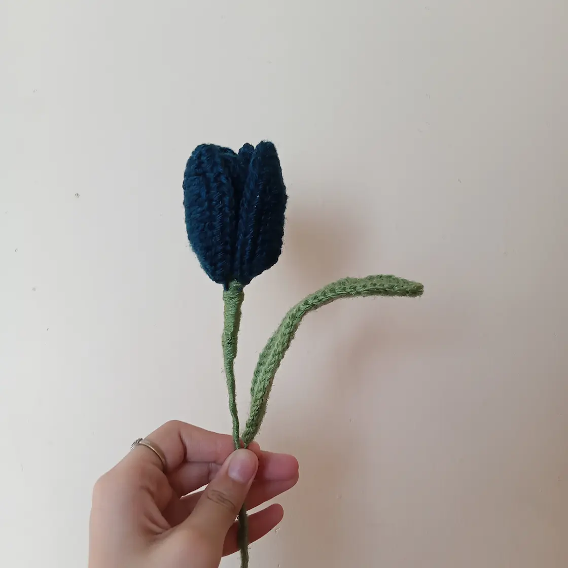 Teal Tulip